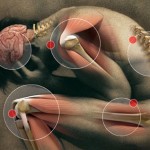 Soccer Science And Soccer Success- The Real Reason Why You Will Never Make It.
