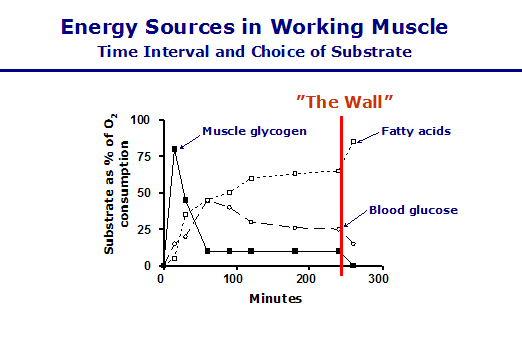 Soccer Nutrition: Eating Can Help Reduce The Risk Of Injury.