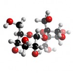 Soccer Nutrition- Glycogen Soccer Nutrition- Glycogen