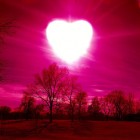 Coaching Soccer-Love Based Soccer